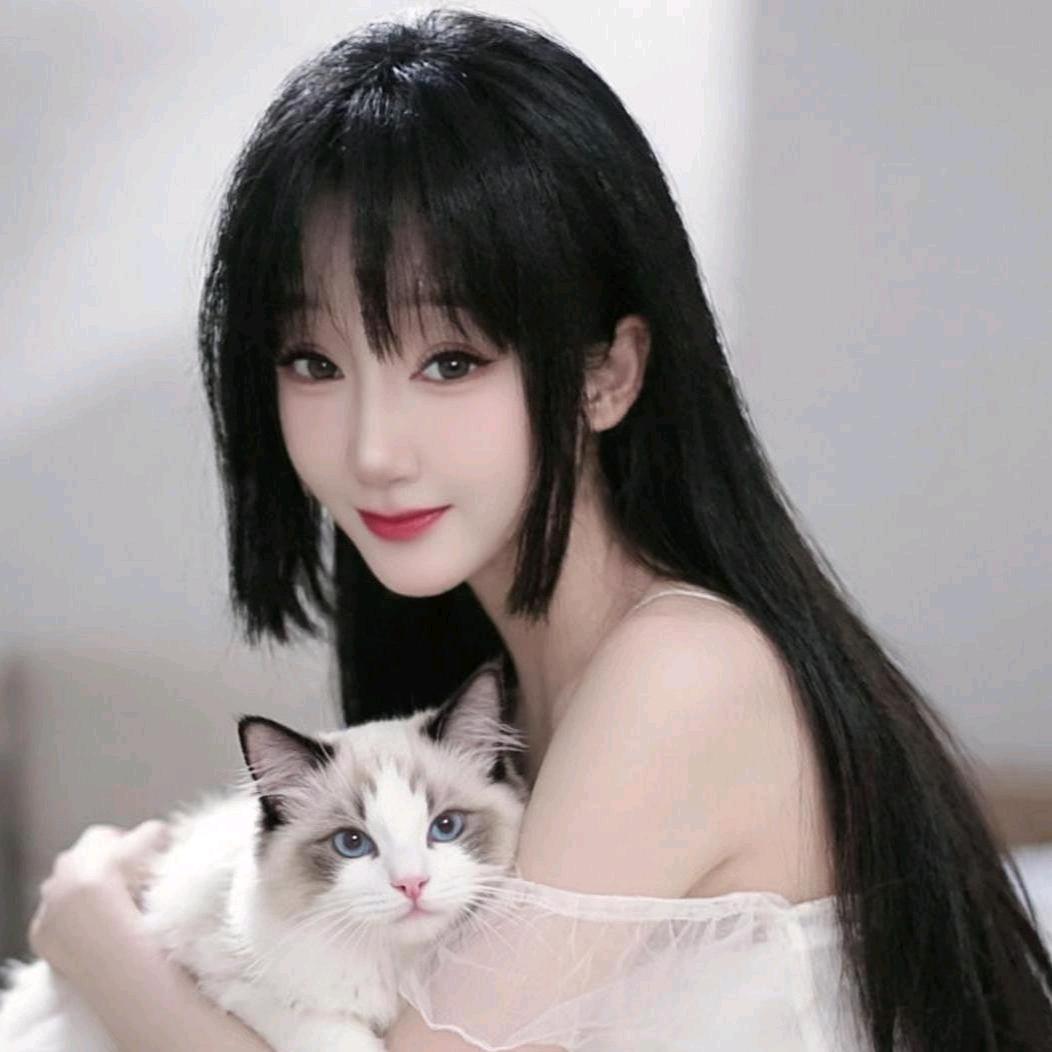鲨鱼宝宝🐬