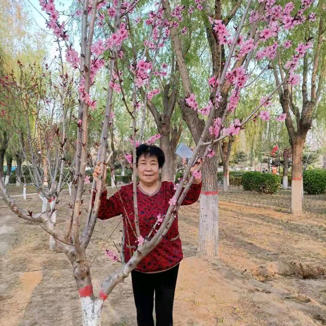 花仙子，