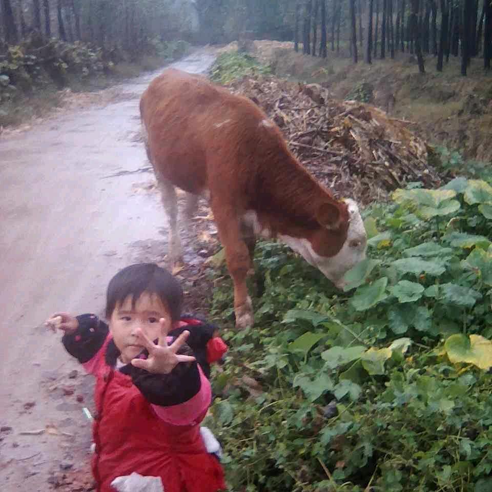快乐明天