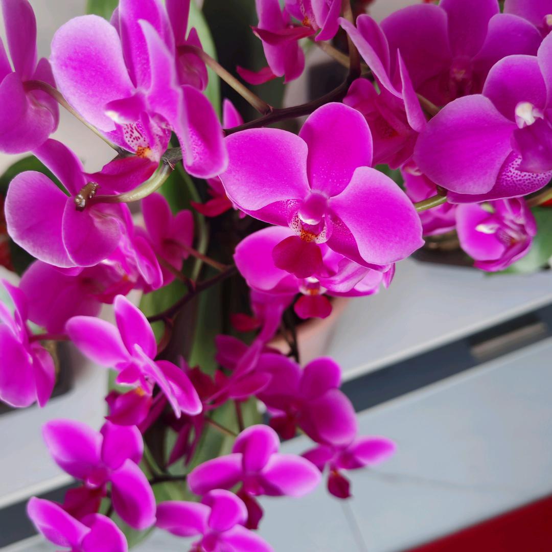 💖💕💖往后余生💖💕💞