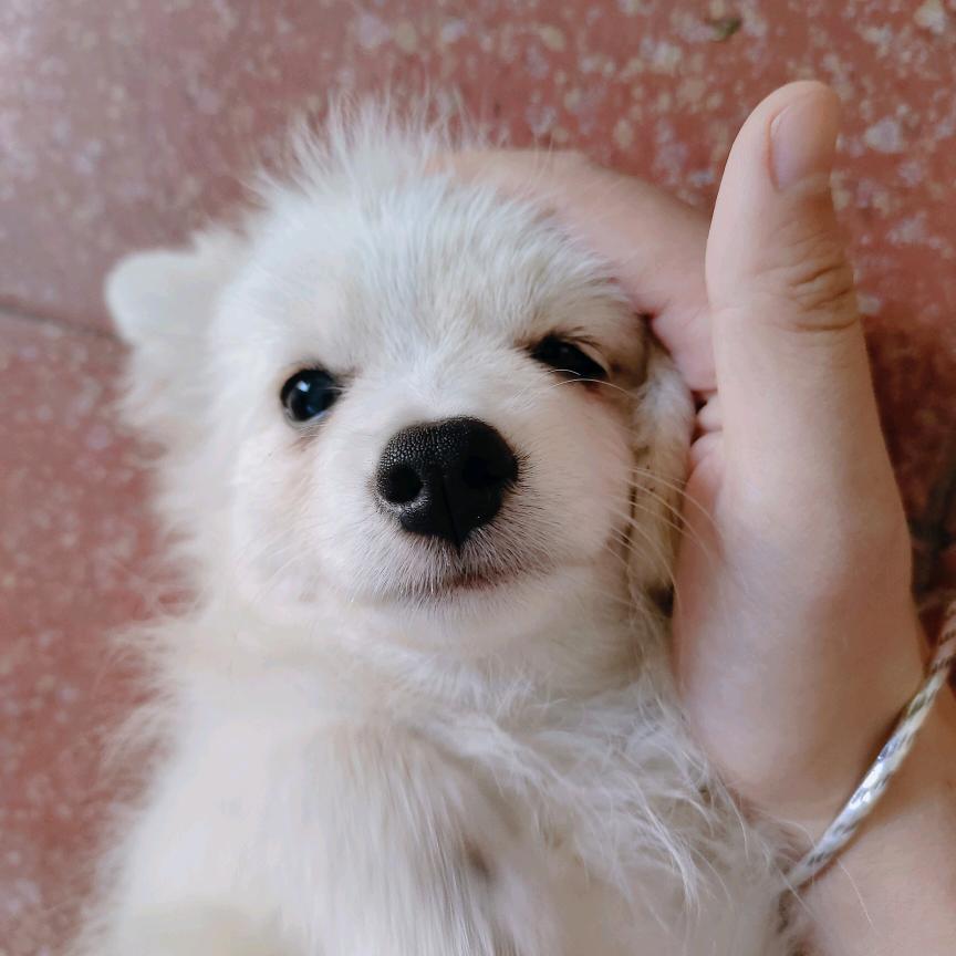 新途径申论   宋一葵