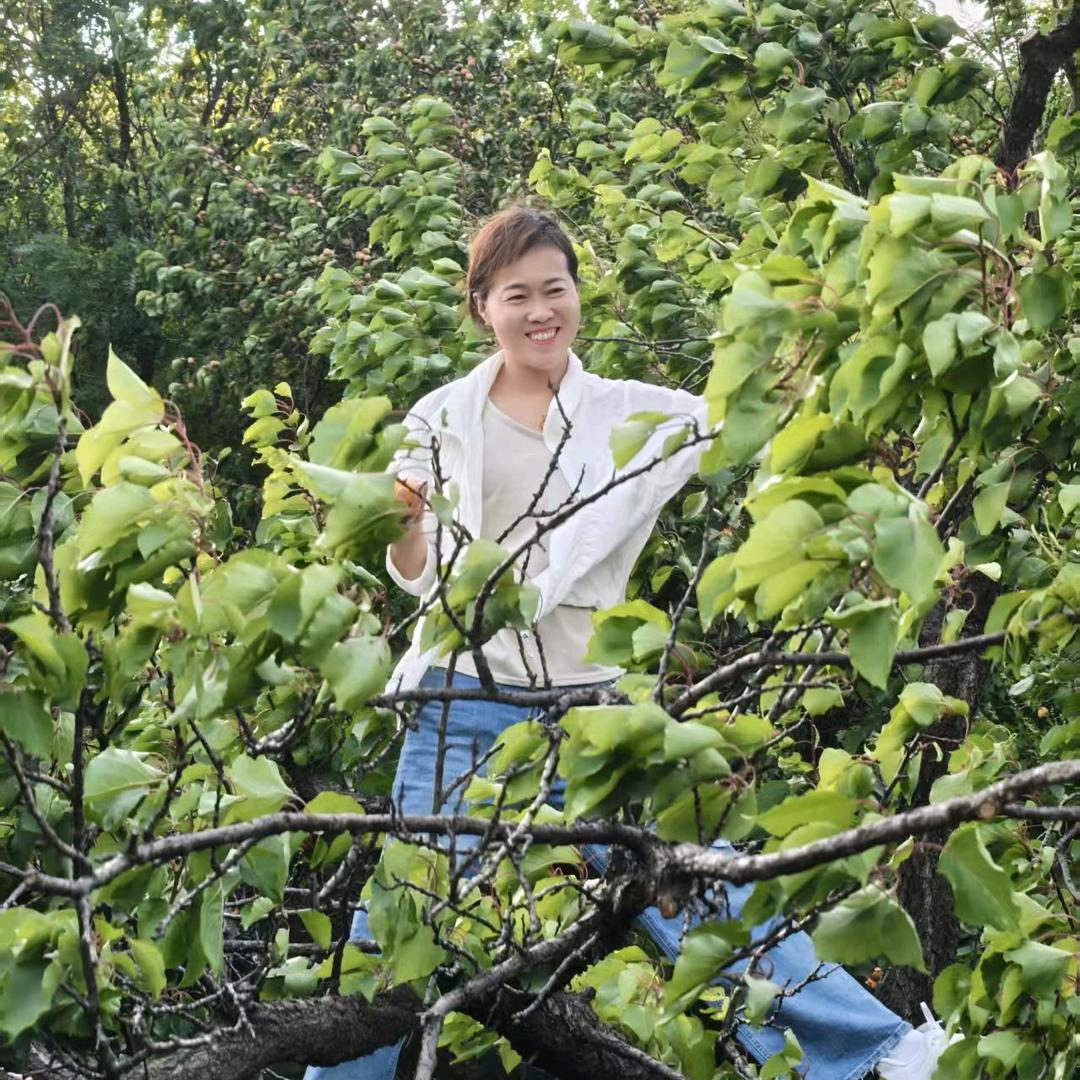 千里走单骑（拒私聊）