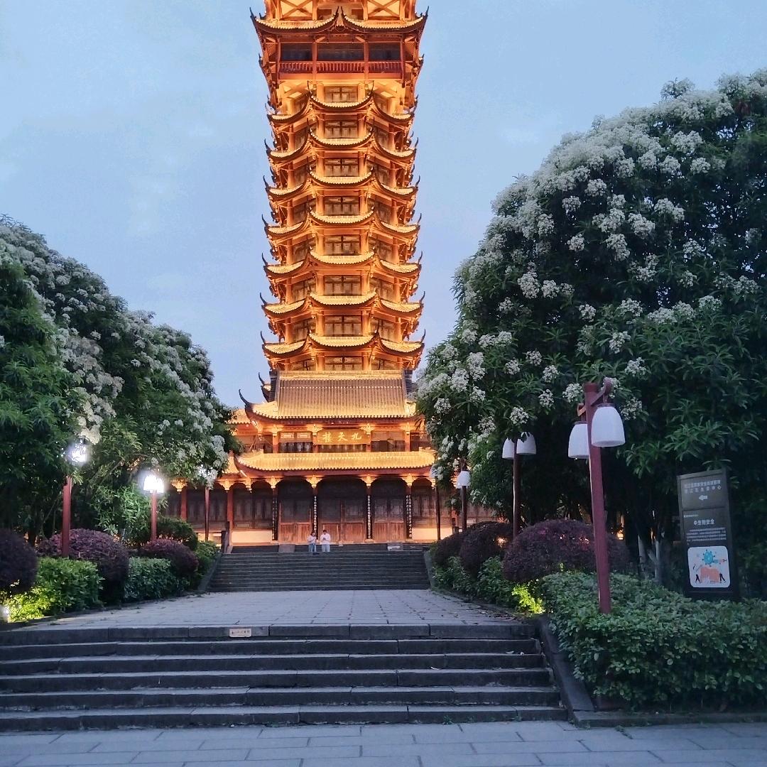 小白兔