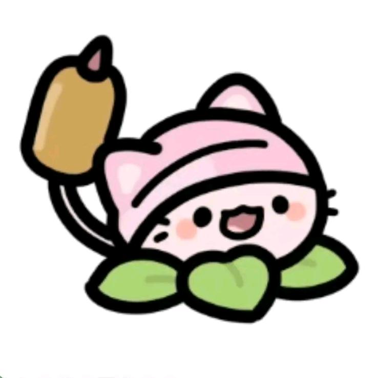 🥕🥕🥕🥕🥕🥕