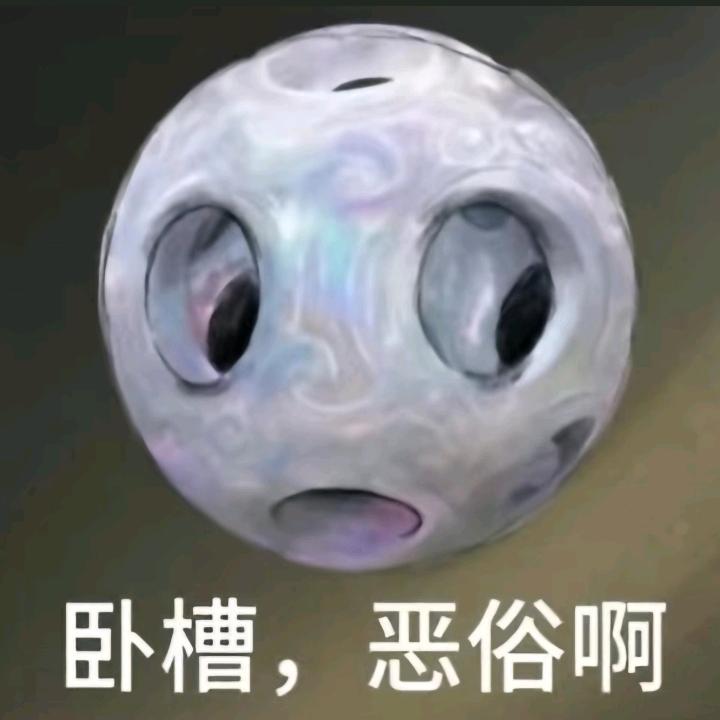 为何我有猪的建模