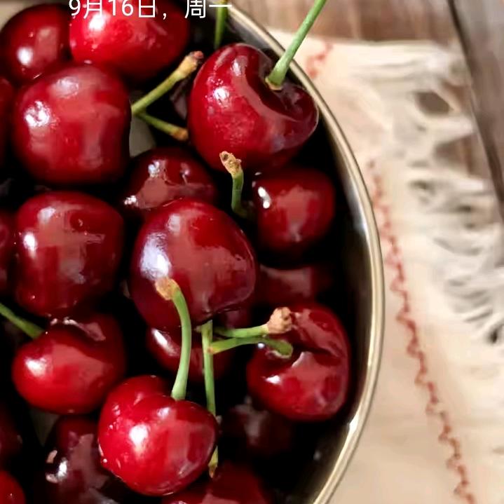 老瞿
