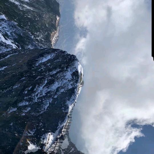 逸成