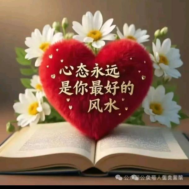 风和日丽🌷🌷