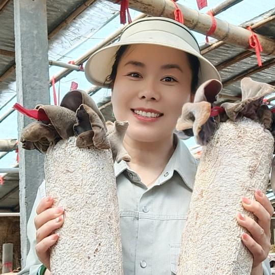 西华农家毛木耳