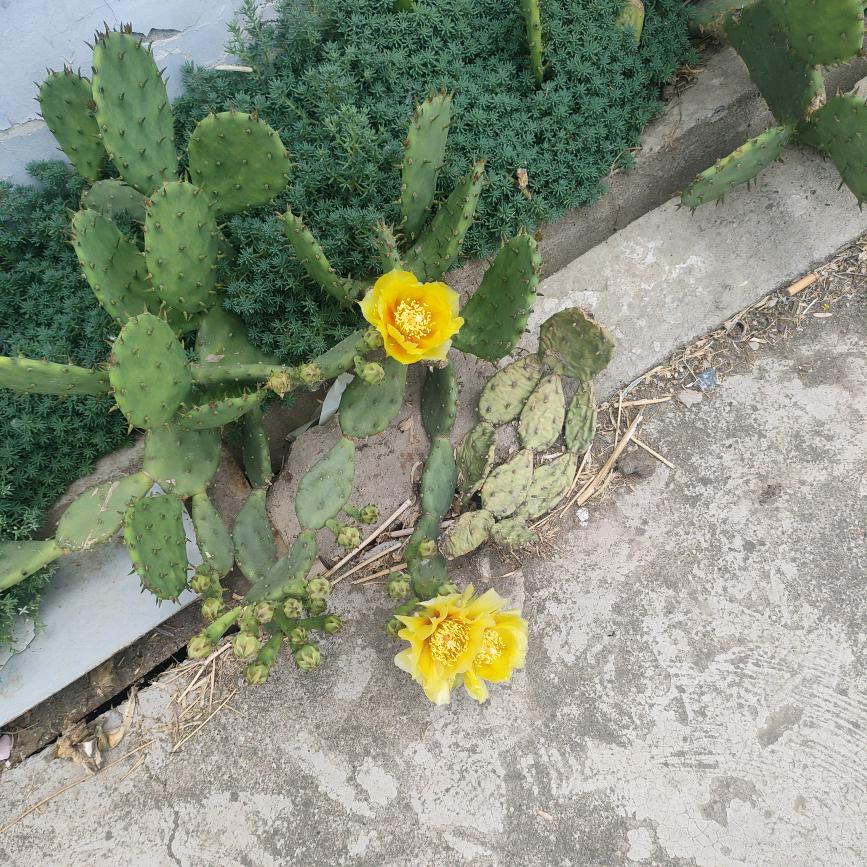 (●'◡'●)(*^_^*)