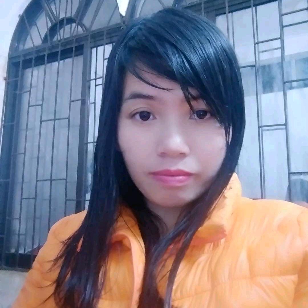 飞儿