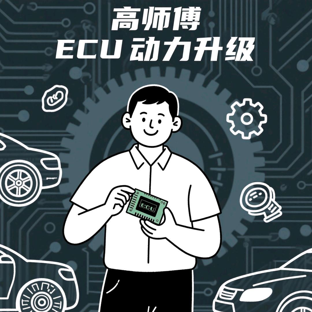 高师傅ecu动力特调（江苏常州）