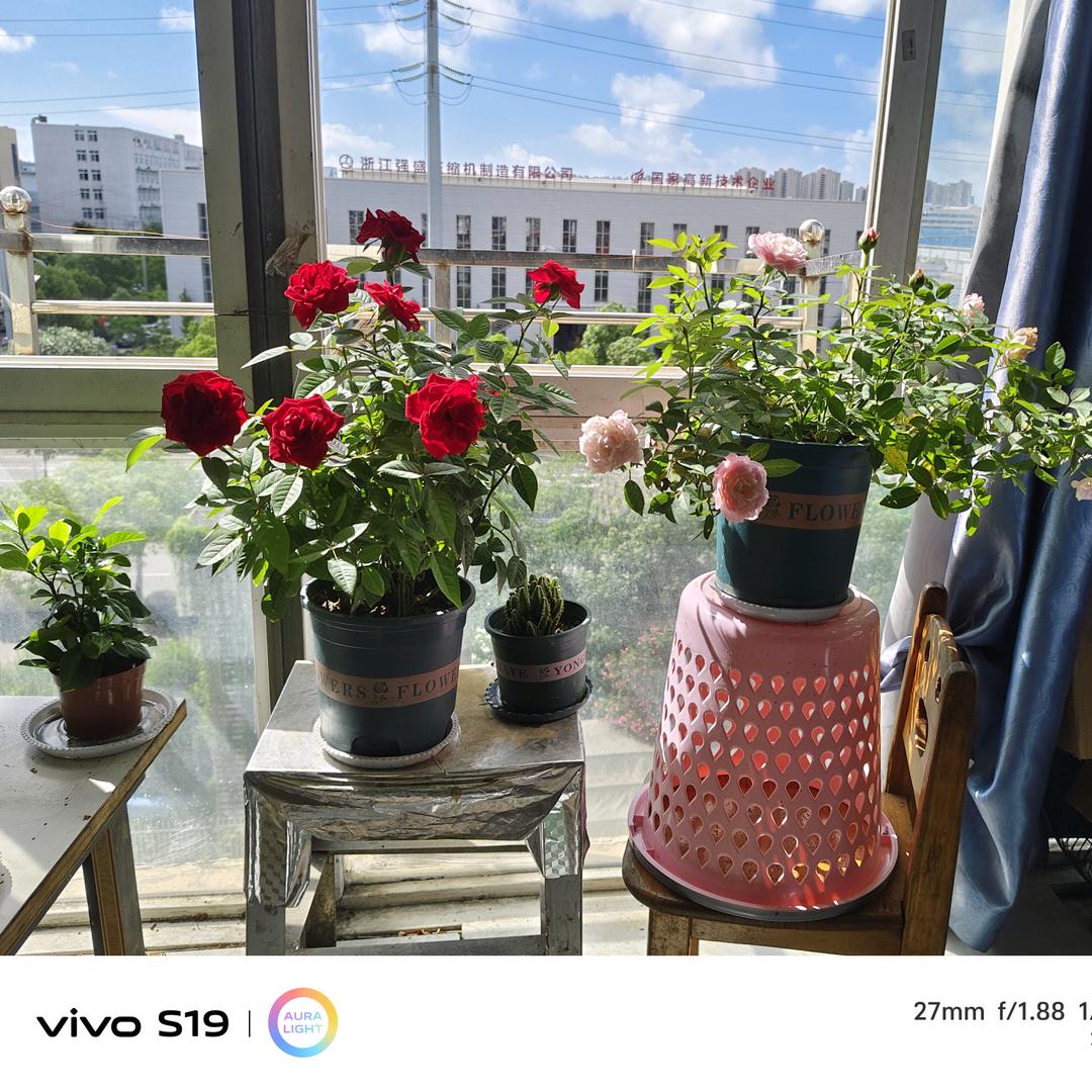 随心所欲(拒私聊)