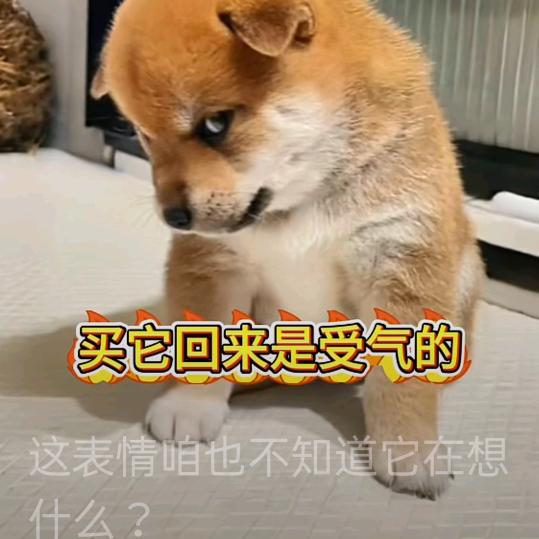 让心归零