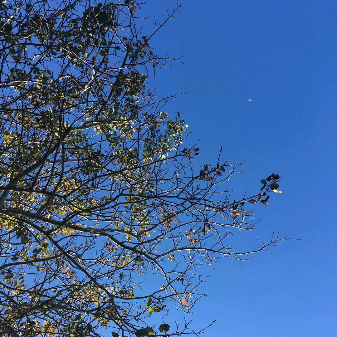 叽里呱拉