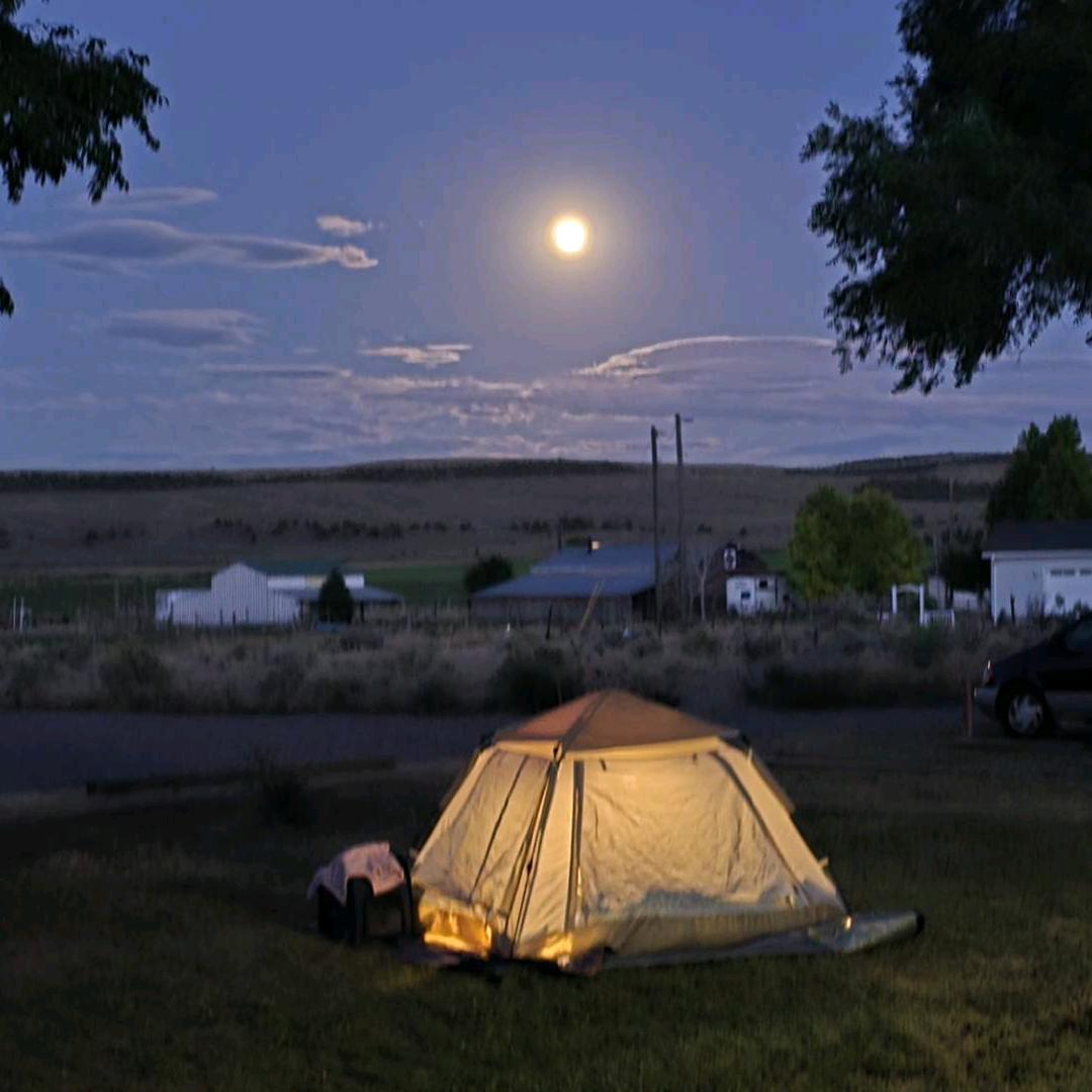 蒙古草原天气晴