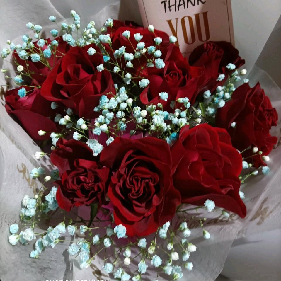 用户2823164004802永恒得爱