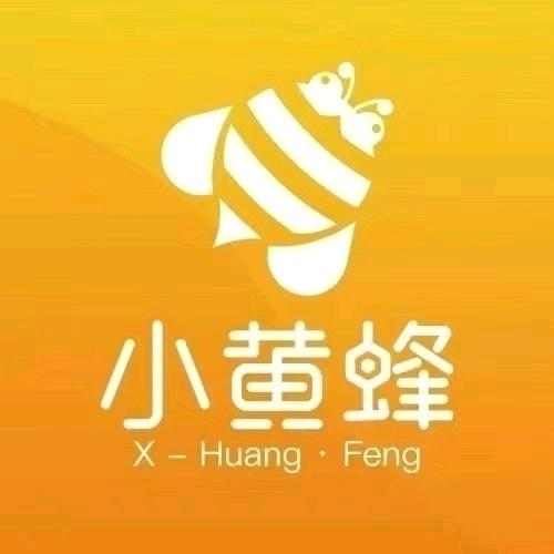 峰哥做家政（小黄蜂全国总代理）