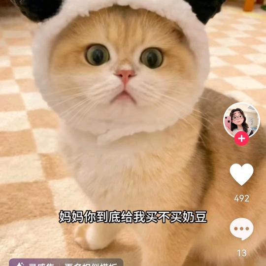 旺财小糖