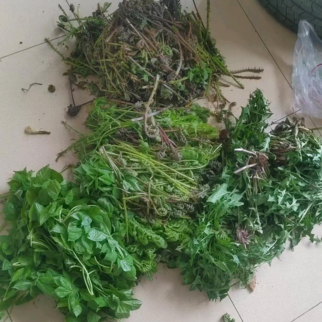 大美长白山