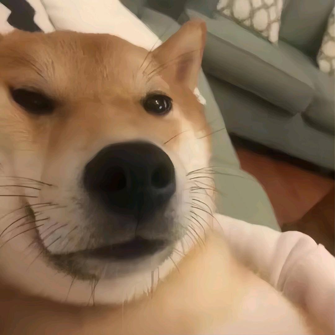 绯闻男友