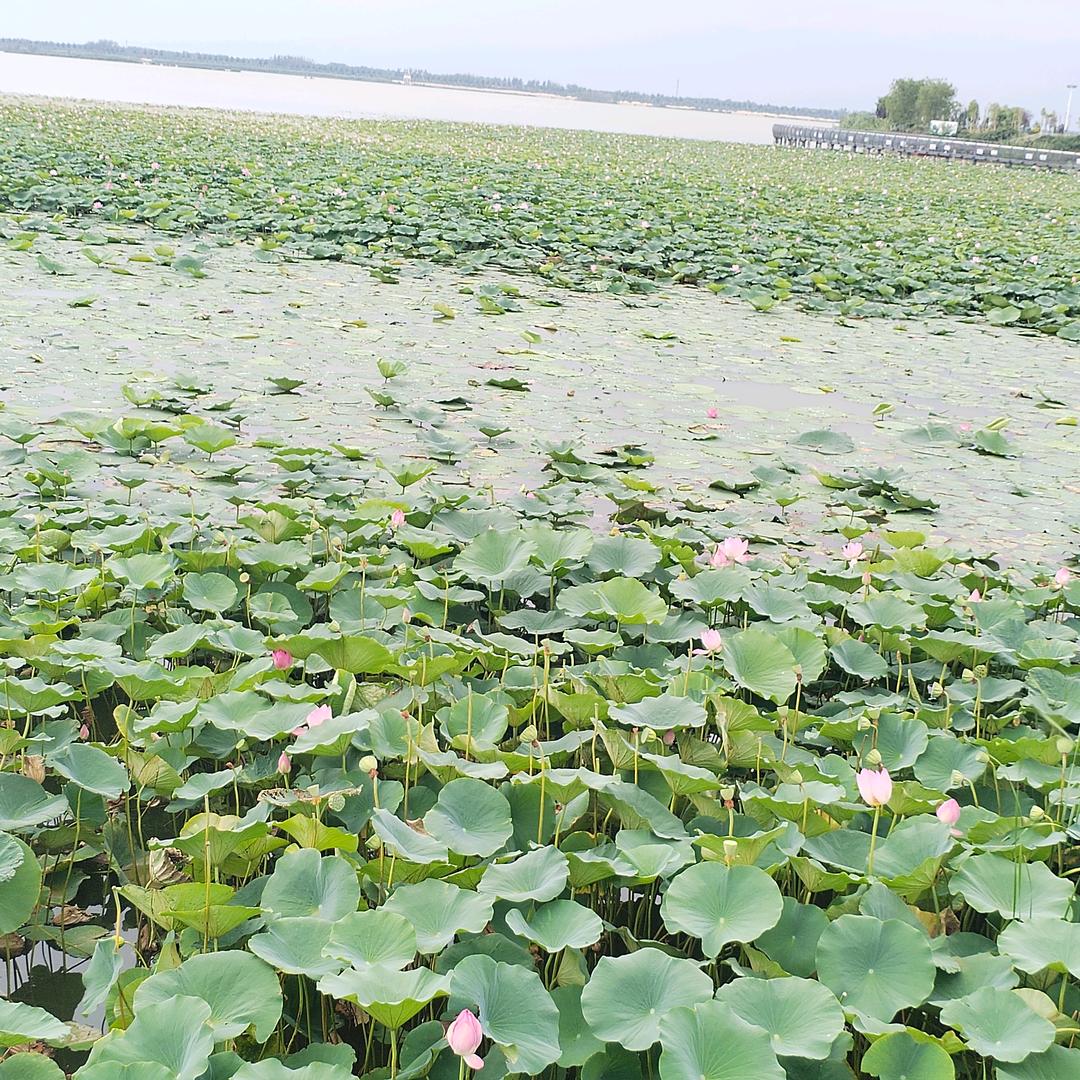 先做人再做事！