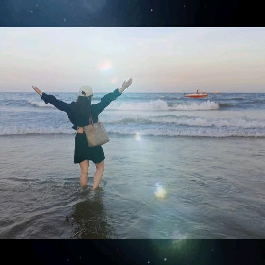 💜董的都董💜