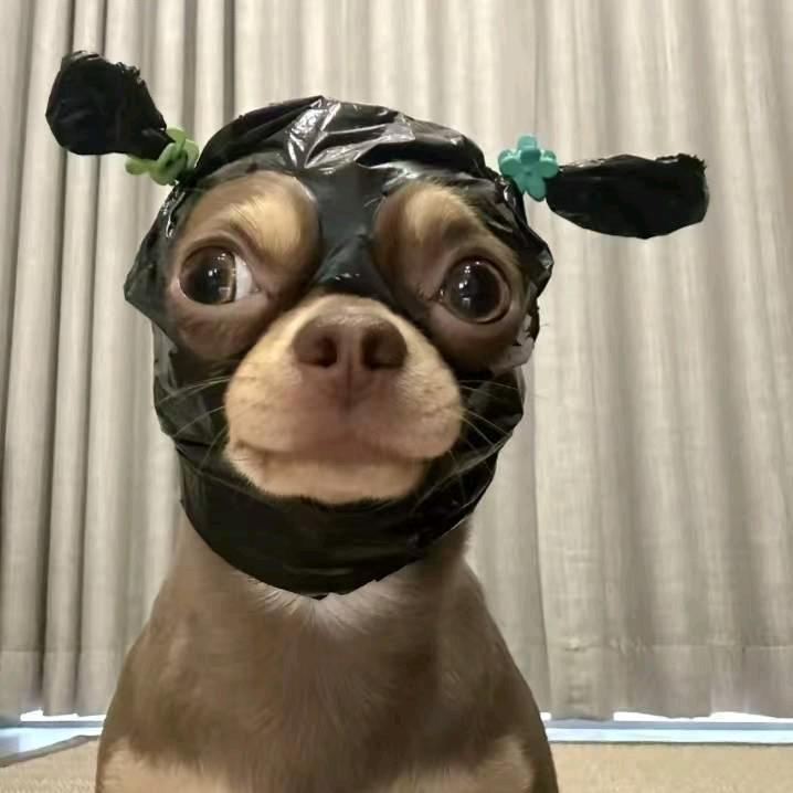 小李睡不着.