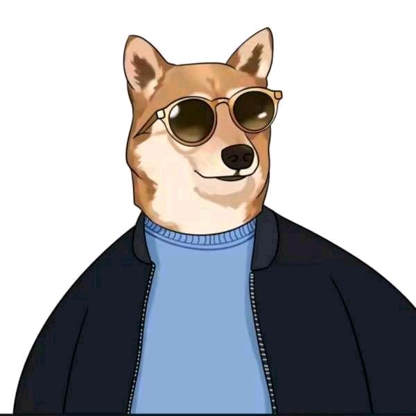 和平精英 新哥y