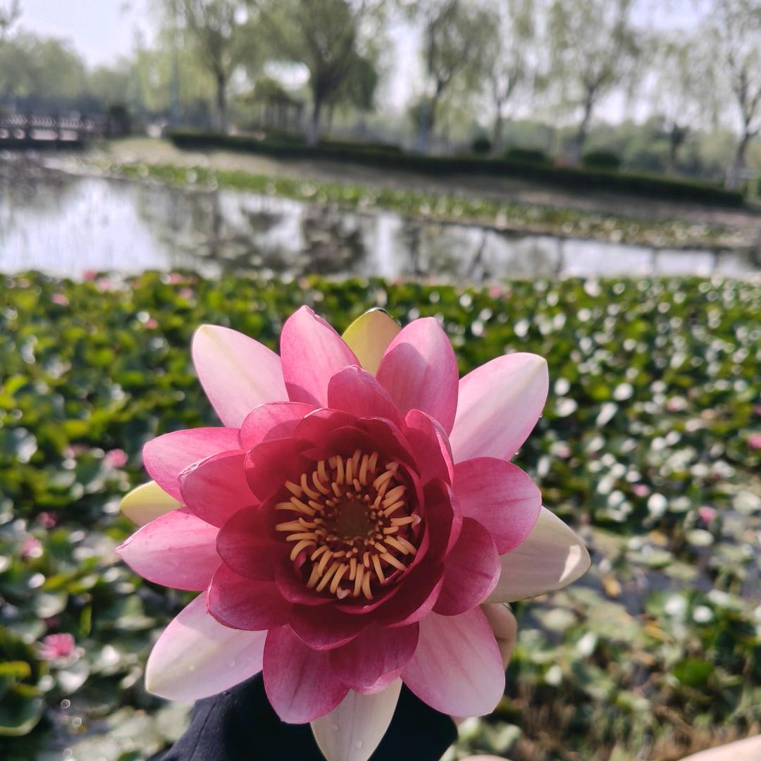 静静姐