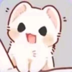 我要一只。猫