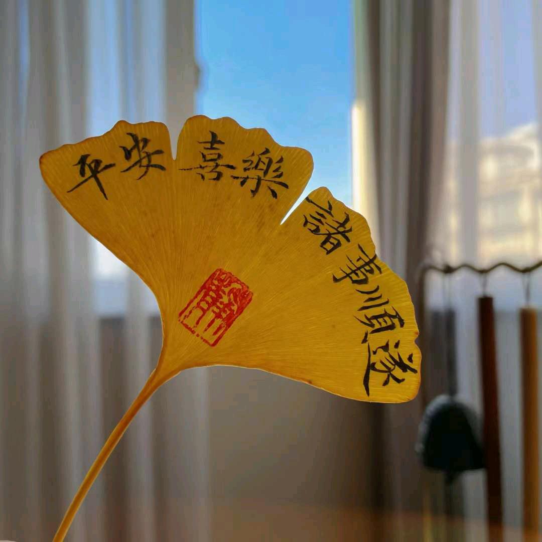 魏Mr