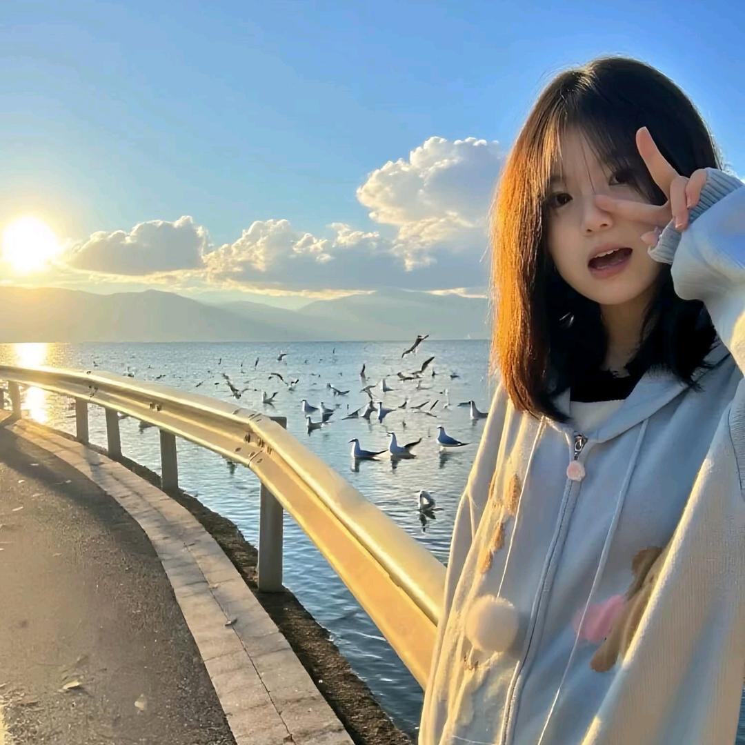 小绵羊