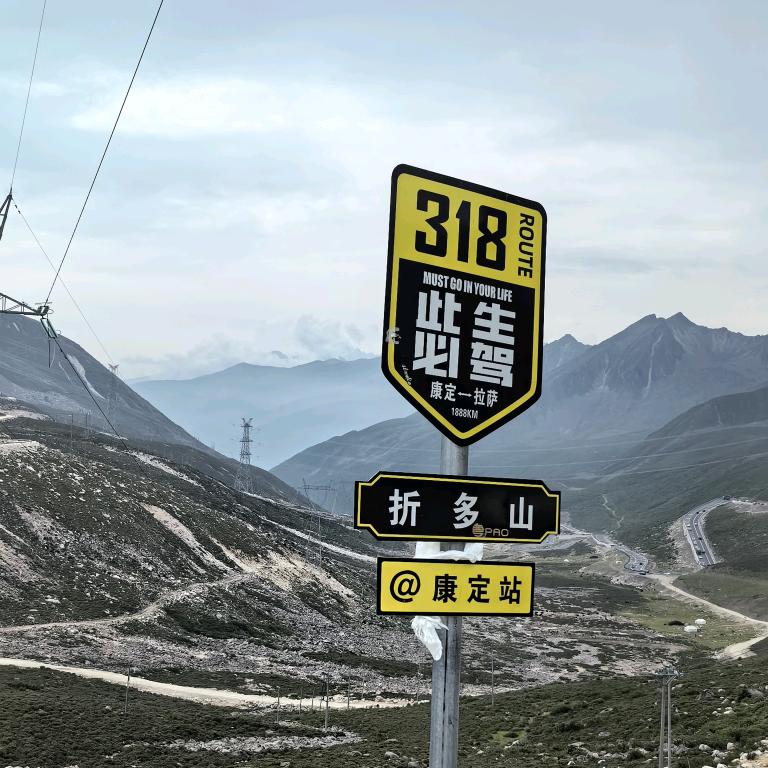 拉树专业户