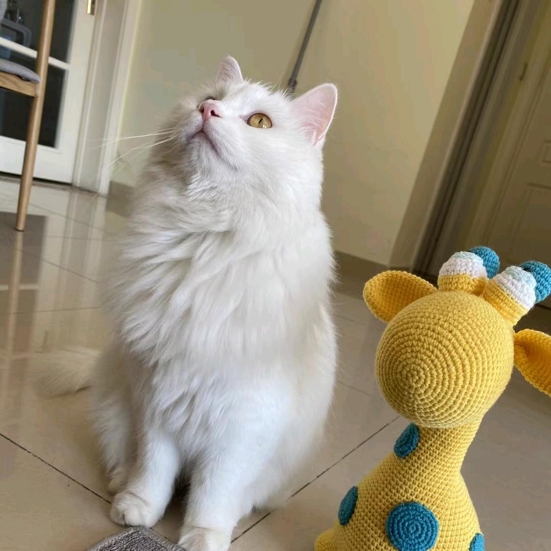 天刀好玩不花钱