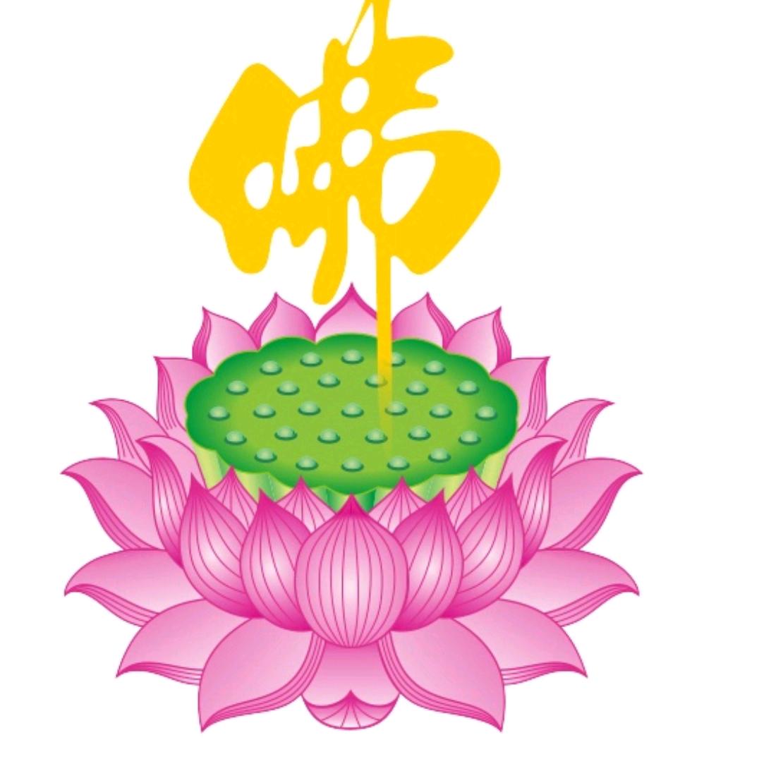 🪷一切随缘🪷