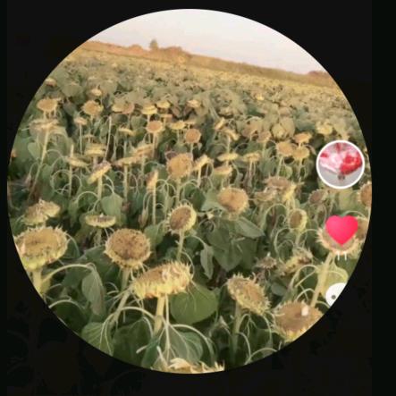 做农活的人力资源