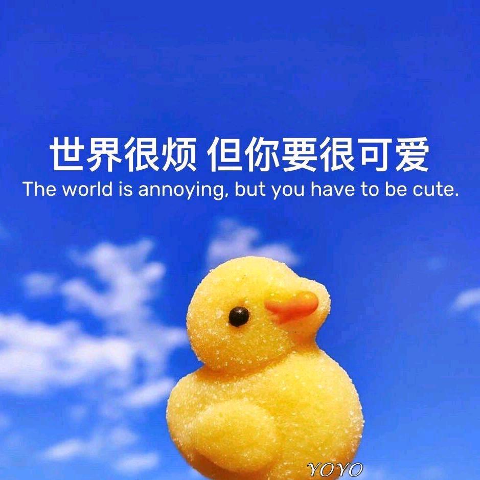 可乐要加冰