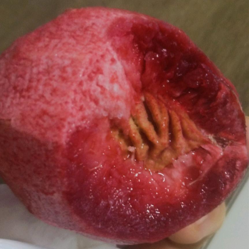 少游