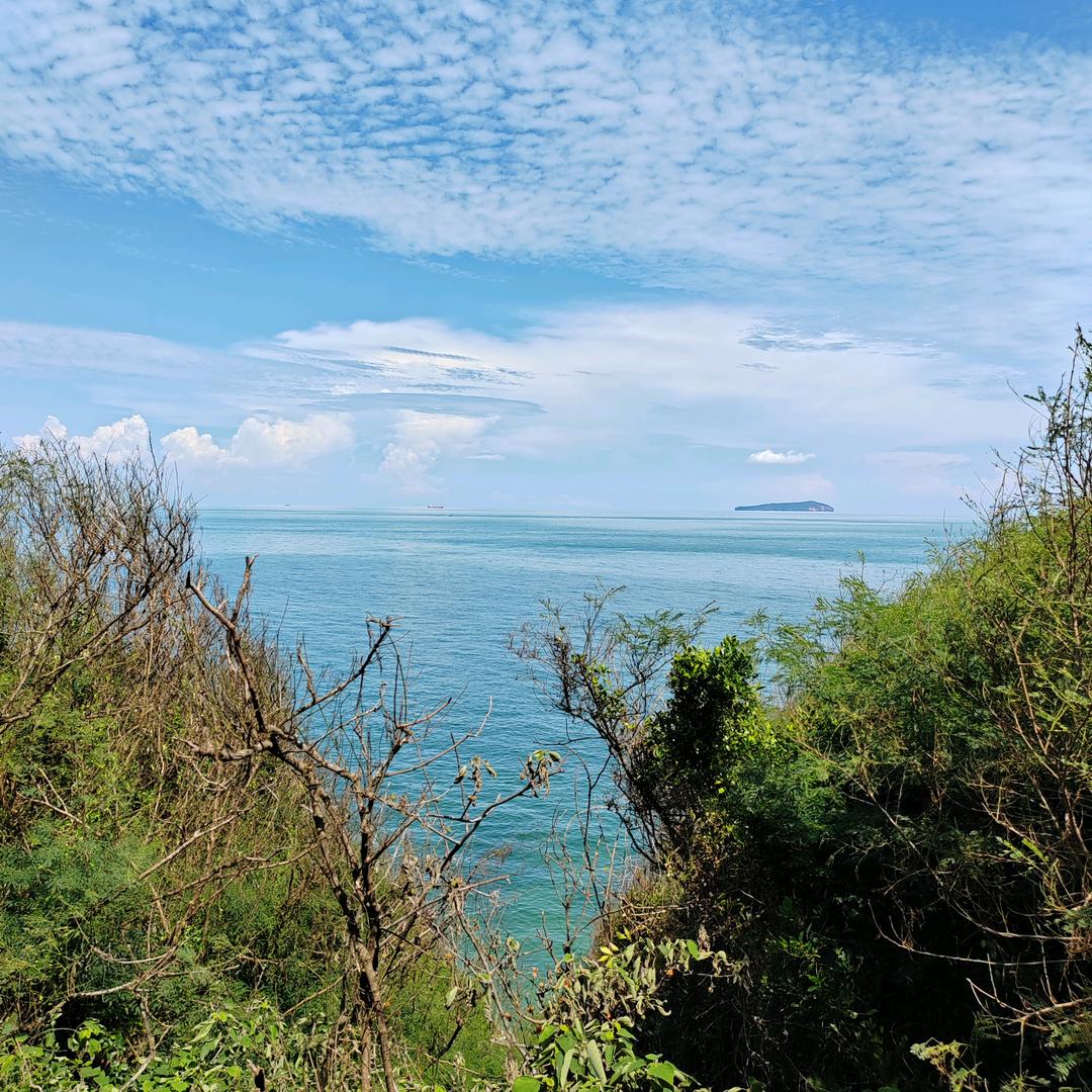 风里带点甜