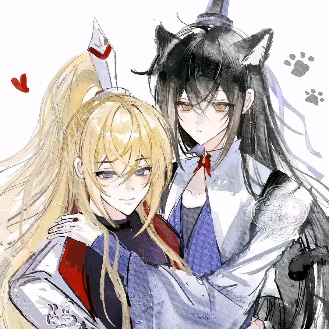 三花鸽鸽.