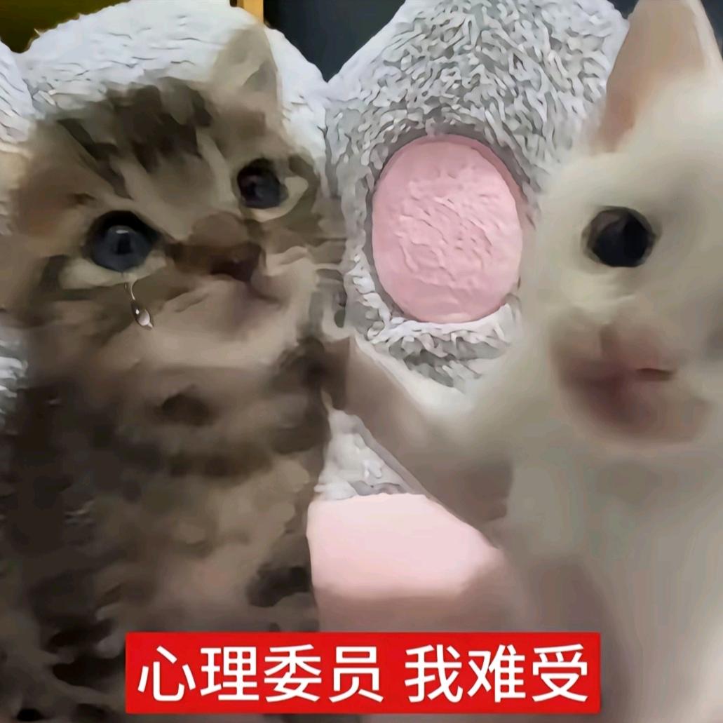 明浩女神(⋟﹏⋞)（苦命上学版）