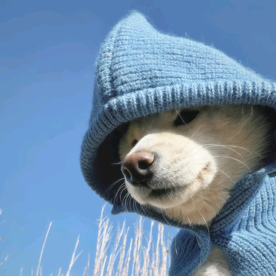 独の