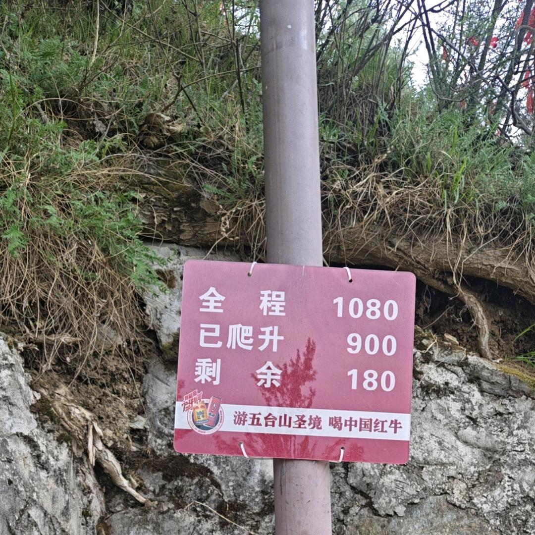 峰回路转