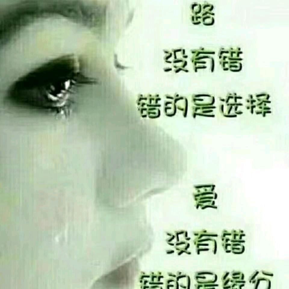 🌿封心锁爱