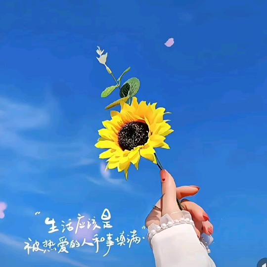 虎姐姐