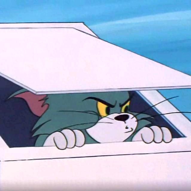 汤猫不会捉老鼠