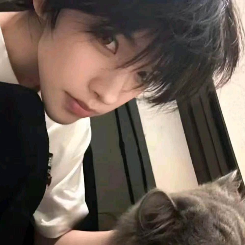 偷腥的猫