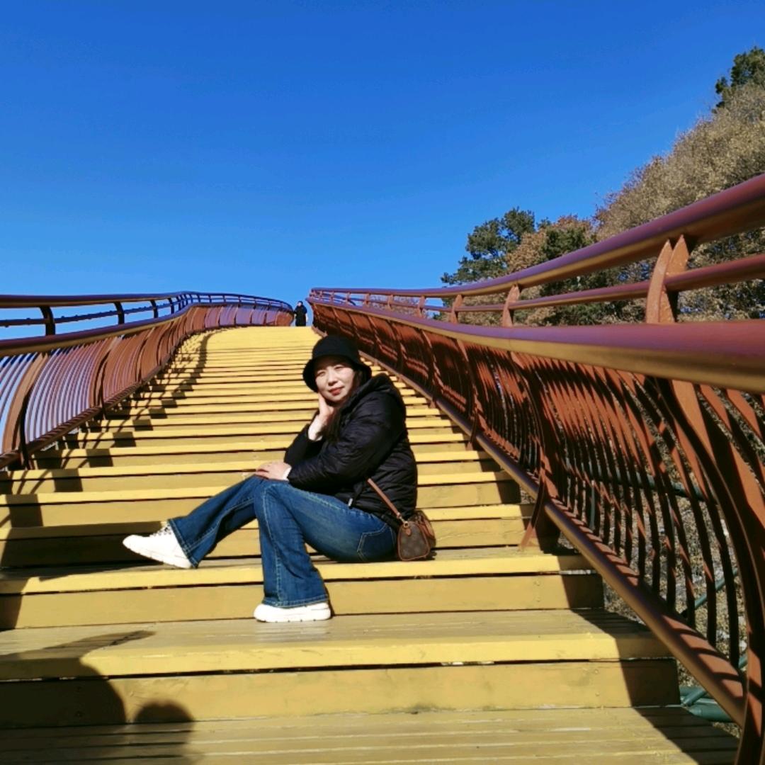 鱼的眼泪（拒绝私聊）