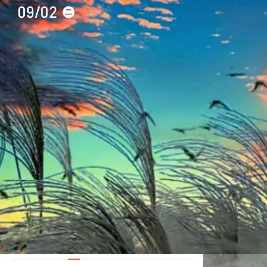 公寓我透明胶带